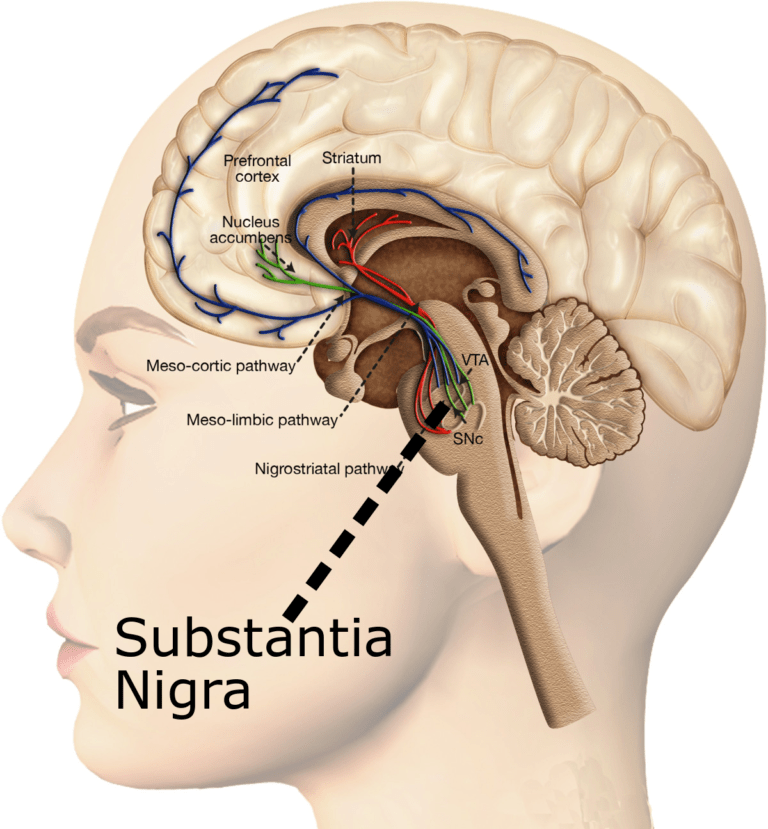 hand-tremor-causes-treatment-epilepsyparkinsons-in