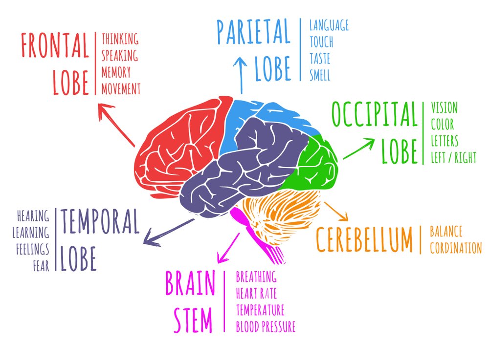 meaning-of-seizures-fits-epilepsy-seizure-types-symptoms-and