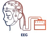 EEG brain