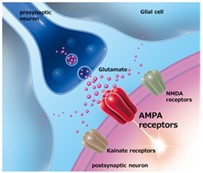 nmda receptors as targets for drug resistant epilepsy